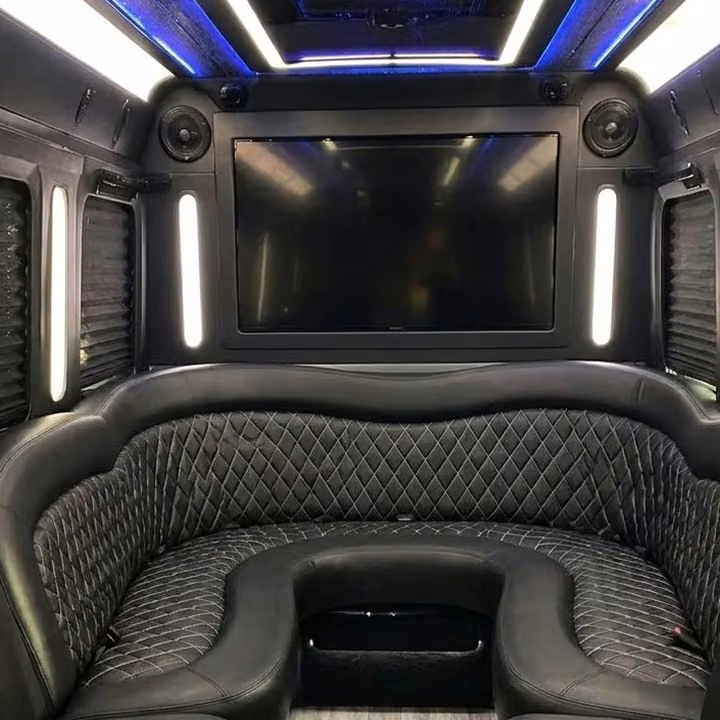 peachtree city party bus sound system
